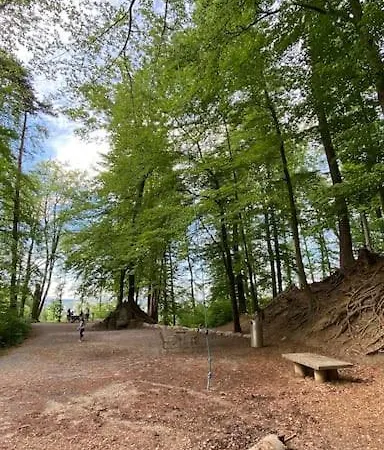 Feel Good With Forest View Appartement Zürich