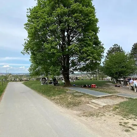 Feel Good With Forest View *