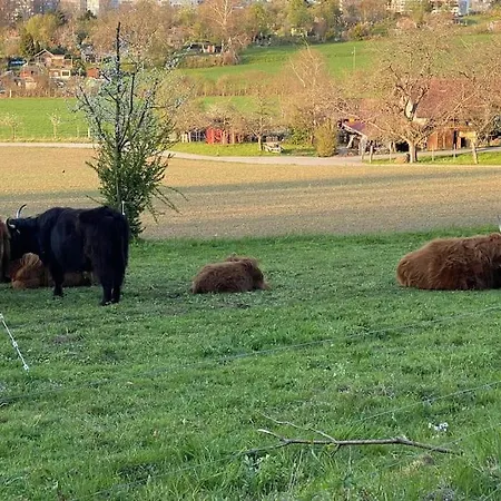 Feel Good With Forest View Zurich