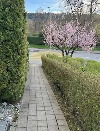 Feel Good With Forest View Apartment