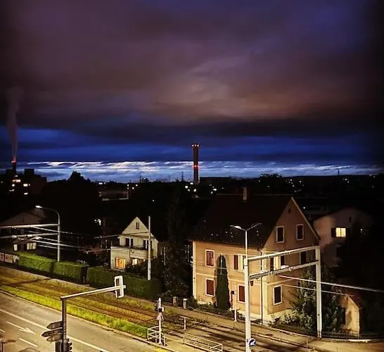 Feel Good With Forest View *