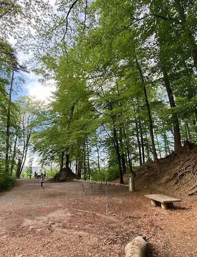 Feel Good With Forest View 아파트 취리히