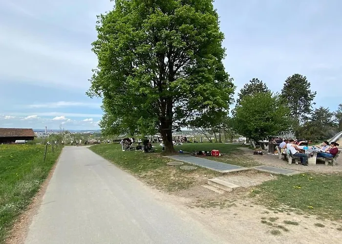 Feel Good With Forest View *