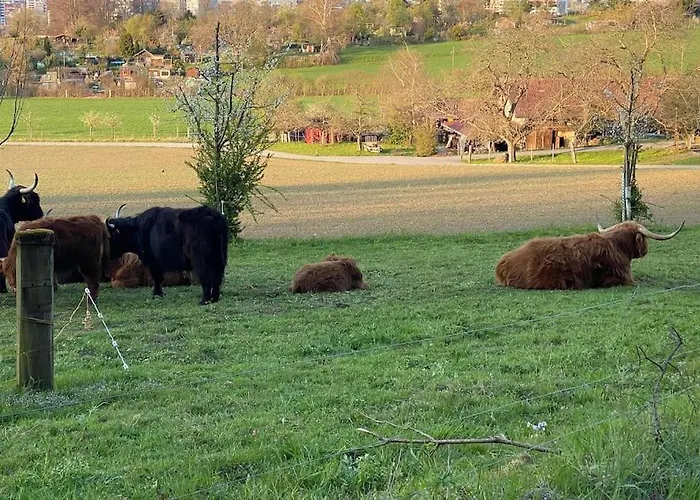 Feel Good With Forest View ציריך