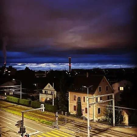 Feel Good With Forest View *